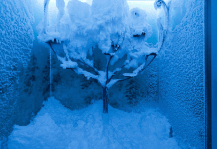 Snow Room